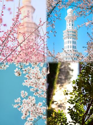 The Pearl of Eastern Henan · Charming Zhoukou | Where 3000 Years of History Meets Natural Wonders!