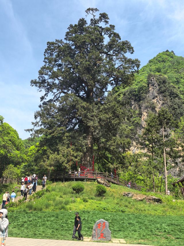 西安周邊遊｜湖北神農架