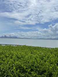 Unbelievable Shenzhen, A Cheaper Hong Kong! Top Low Budget Trip