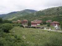 From Ganzi to Luhuo: How to turn 100 km of road into a day of unforgettable experiences