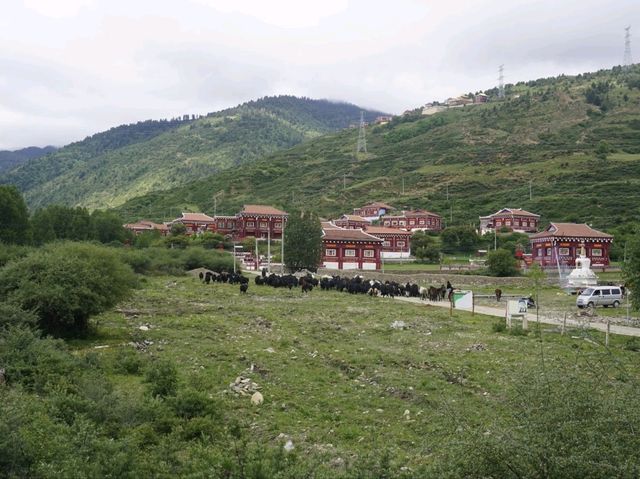From Ganzi to Luhuo: How to turn 100 km of road into a day of unforgettable experiences