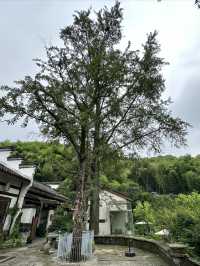 花築奢·海鳥天地民宿