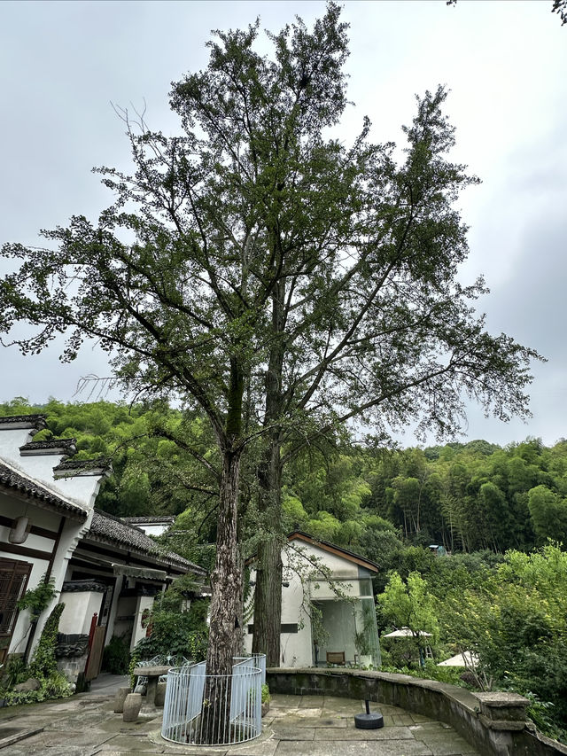 花築奢·海鳥天地民宿