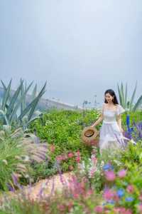 涠洲島最成功的一次春夏懸崖花園