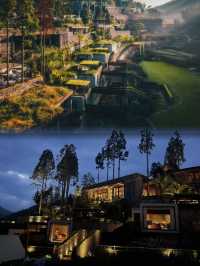 浙江溫州！山野小院！staycation喺温州住到咗