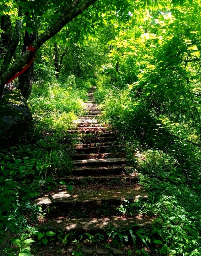 南陽九華古道