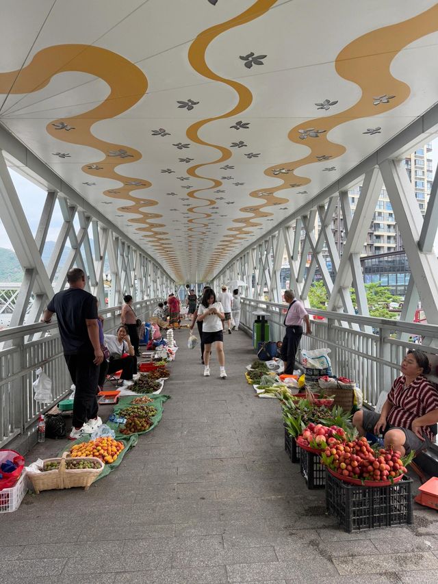 闖入攀枝花！喺陽光花城邂逅工業與自然嘅浪漫