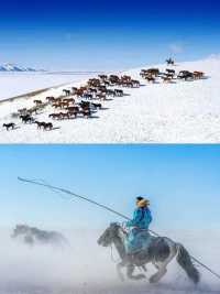 你可以永遠相信錫盟的雪景，驚艷冬日時光！