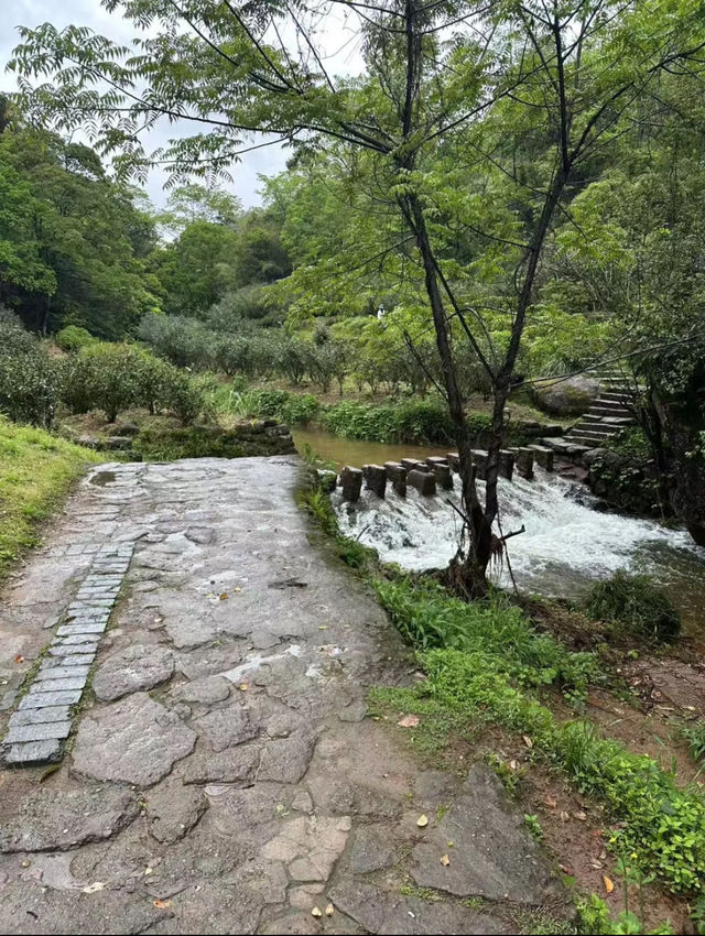 超實用嘅武夷山旅遊攻略！