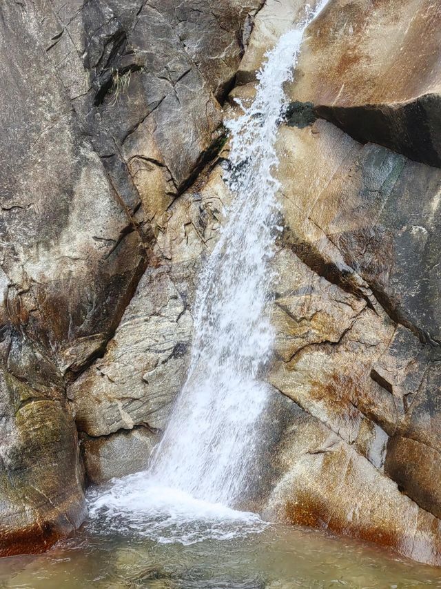宜春明月山｜硒泉煮月溫禪骨 雲梯漫步叩天扉