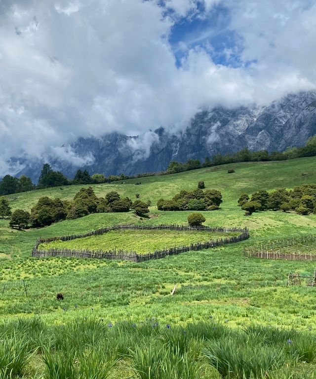 麗江+香格里拉 | 邂逅亞朵與老藥山的奇幻之旅