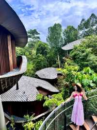 Banyan Tree in Singapore Rainforest Resort😍♥️