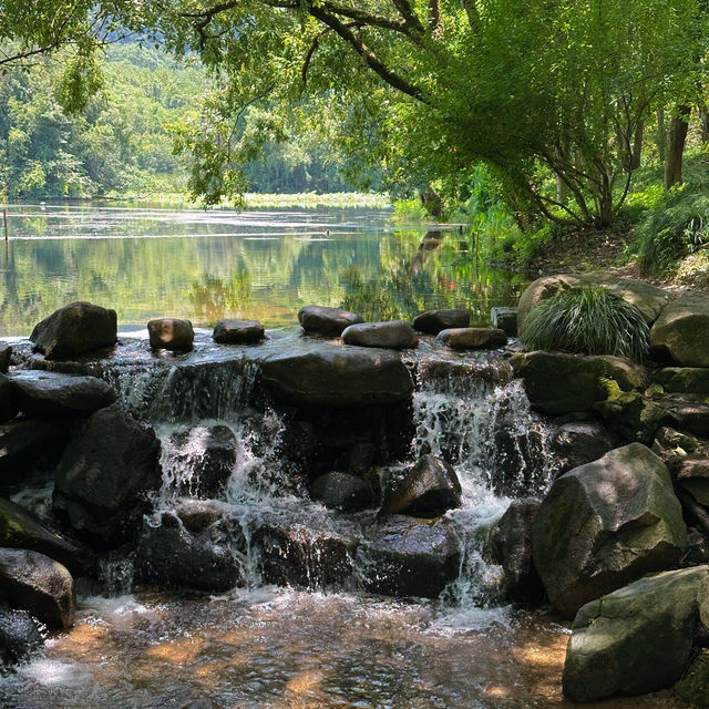 杭州西湖多條路線推薦｜從速刷到輕松沈浸遊玩，總有一條治好你的選擇困難