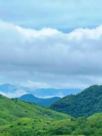 福建版「阿勒泰」！柘榮鴛鴦草場春節必去