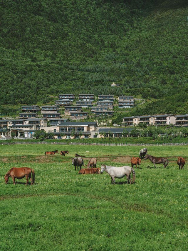 雲南香格里拉避暑秘境高山別莊香格里拉酒店