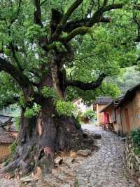 被《國家地理》點名！闖入600年明清古村落