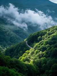 莫干山避暑詩境|山居時序:採茶雲海·枕星溫泉·竹林溯溪