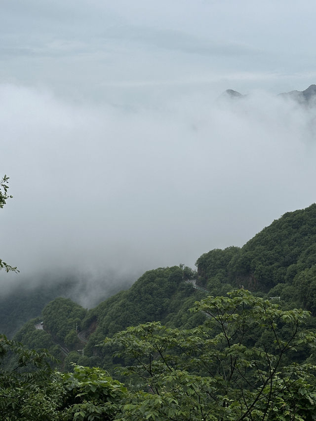 住進儲家灘的晨霧裏