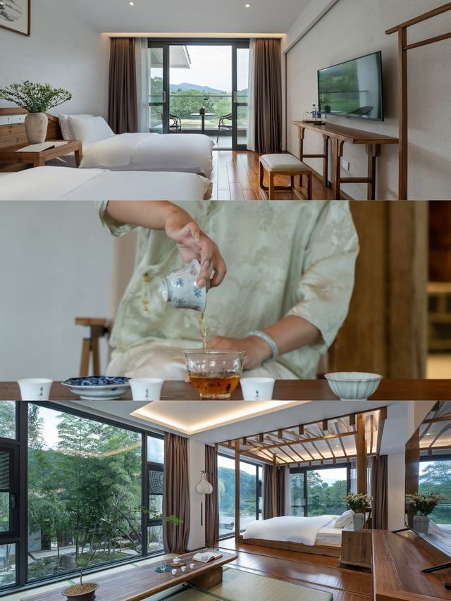 立秋C位！呢座閩北山城茶香四溢