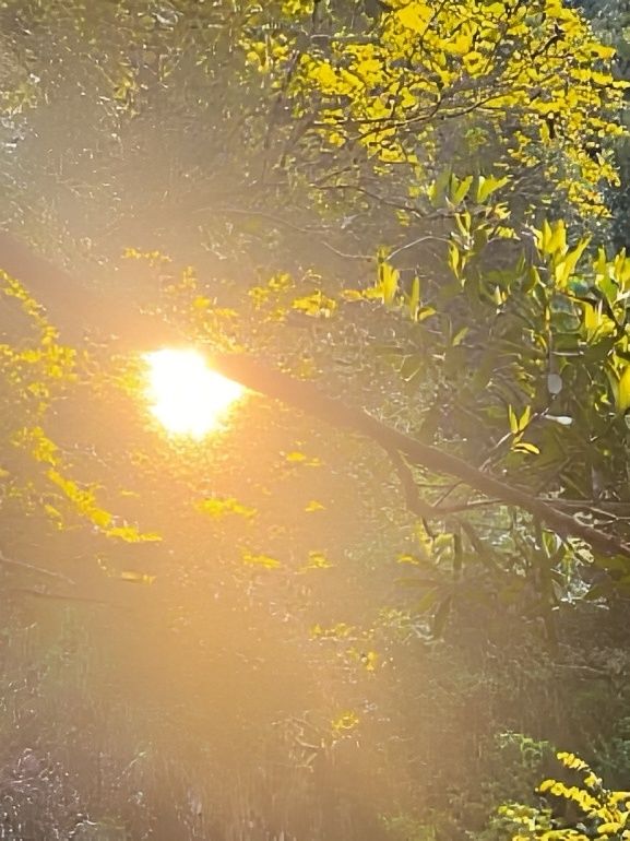 溫州土著人強烈推薦這個能量場炸裂的天然氧吧🟢