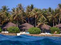 Returning to Paradise: A Love Letter to the Island