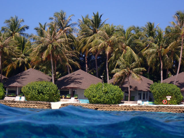 Returning to Paradise: A Love Letter to the Island