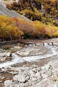 吉林旅行指南｜大美長白山，心形天池愛意具象化