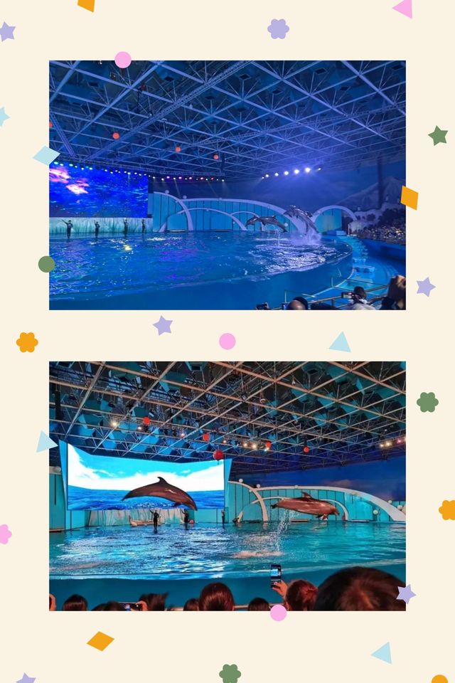 深藍幻境:青島海洋極地世界的治癒之旅 深藍幻境:青島海洋極地世界的治癒之旅