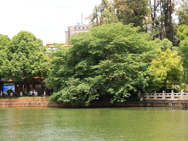 昆明靈魂的後花園——翠湖公園