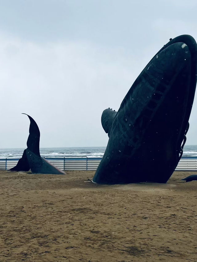看鳥賞海感受大自然治癒  