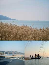 #太湖觀鳥最佳點位出爐  蘇州太湖限定浪漫！海鷗、夕陽、燈塔全攻略  ------  追鷗路