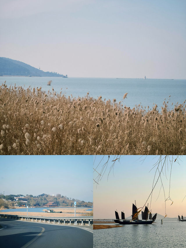#太湖觀鳥最佳點位出爐  蘇州太湖限定浪漫！海鷗、夕陽、燈塔全攻略  ------  追鷗路