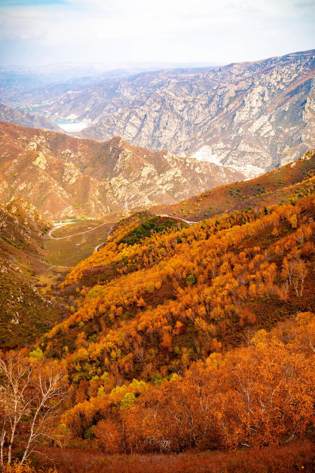 呼市周邊“小瑞士”哈達門草甸私藏山野浪漫