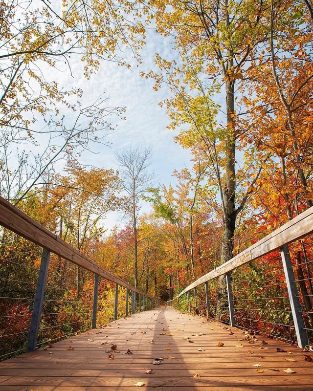 美國印第安納沙丘國家公園3日旅遊攻略 美國印第安納沙丘國家公園3日旅遊攻略
