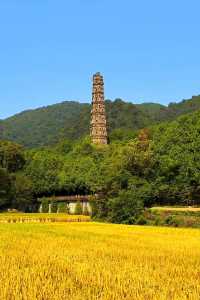 10月來天台山賞秋