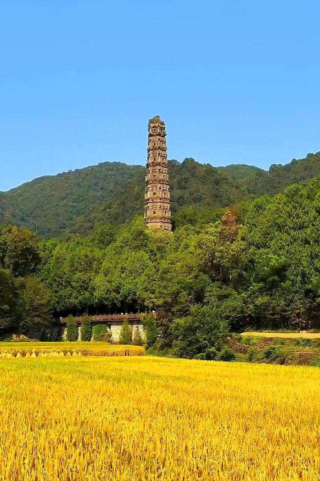 10月來天台山賞秋