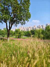 南京江心洲遛娃|真的已經到了next level