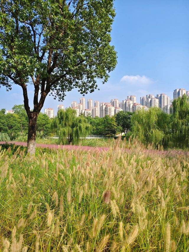 南京江心洲遛娃|真的已經到了next level 南京江心洲遛娃|真的已經到了next level