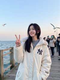 西北大漠藏仙境！額濟納居延海日出美哭了