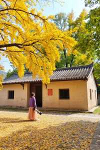 隨州大洪山的秋景醉人心