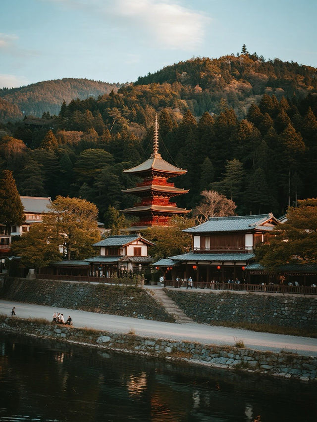 在楓葉與竹海的流光裡，拾一頁京都的和風物語