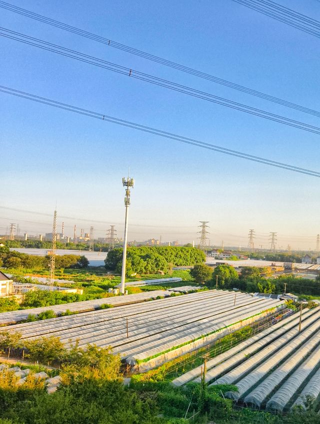 嘉興市    南湖區