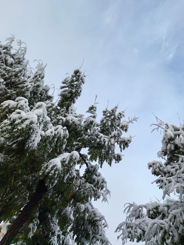 初雪降臨東鄉族自治縣｜在鎖南壩遇見最純淨的雪景