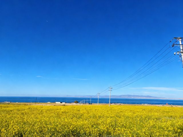 藏在共和的仙境二郎劍