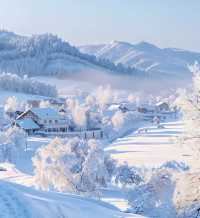 冬已臨,雪覆山河,來賞亞布力林海雪原
