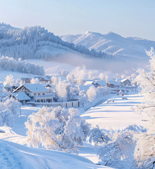 冬已臨,雪覆山河,來賞亞布力林海雪原 冬已臨,雪覆山河,來賞亞布力林海雪原