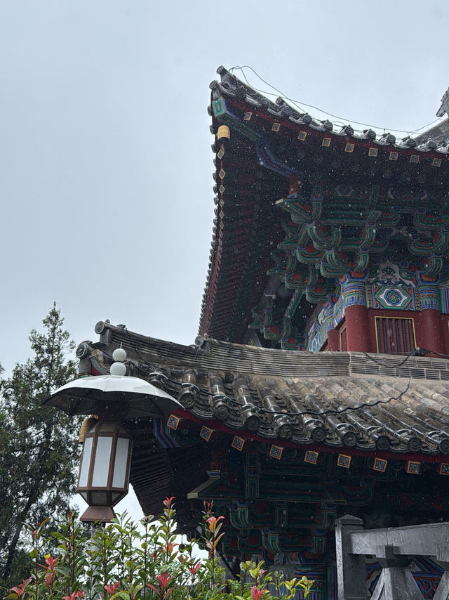 洛陽 / 蔣宋別墅 洛陽 / 蔣宋別墅