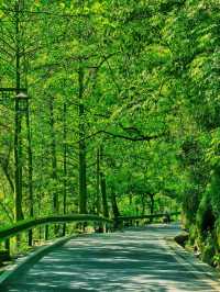 湘西人的私藏秘境這個「小九寨溝」也太絕了吧!