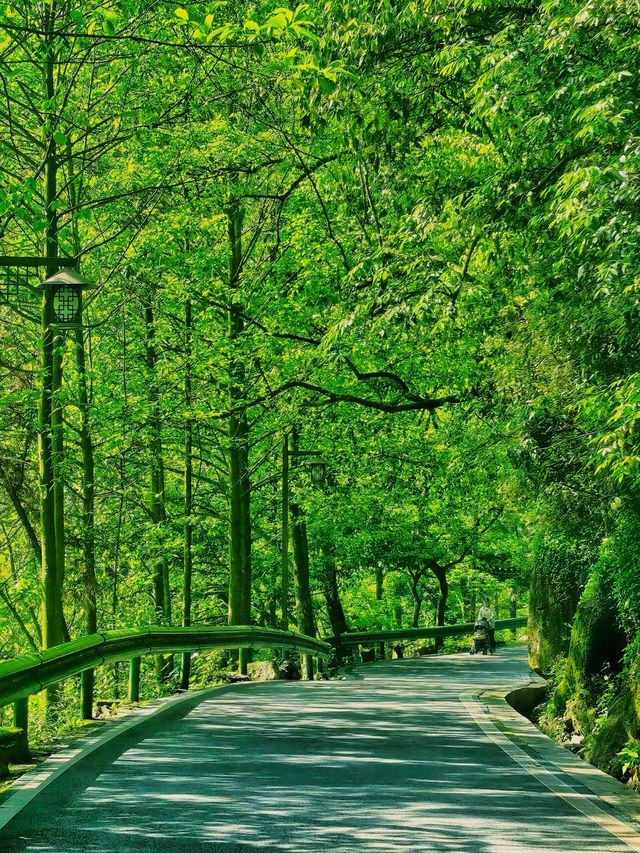 湘西人的私藏秘境這個「小九寨溝」也太絕了吧! 湘西人的私藏秘境這個「小九寨溝」也太絕了吧!