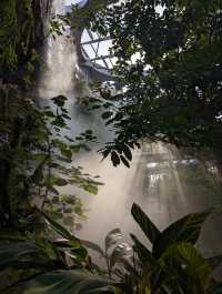 上海世博文化公園溫室花園超全攻略